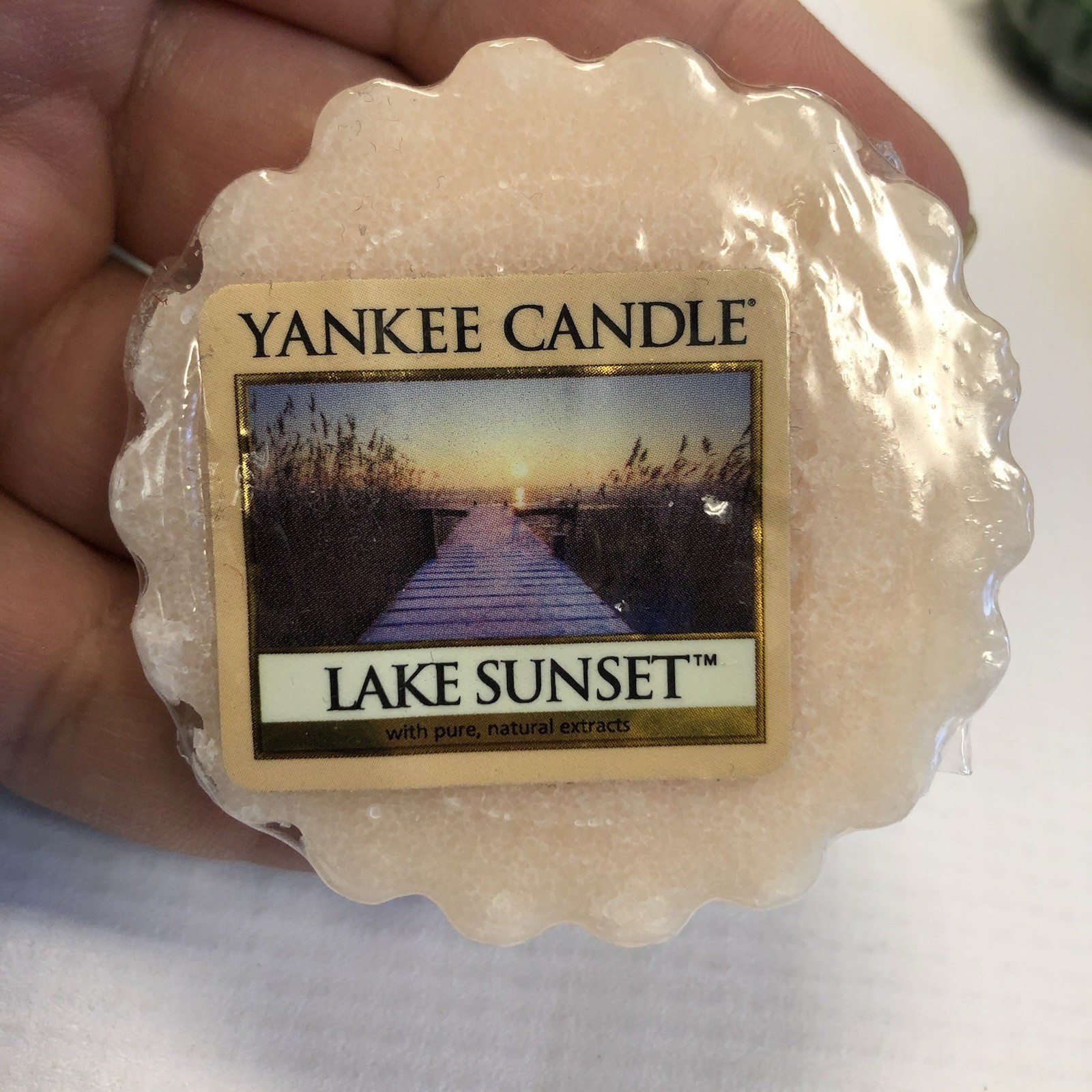 YANKEE CANDLE Wax Tart Melts ~ Assorted Bundle Mixed Lot Of 9