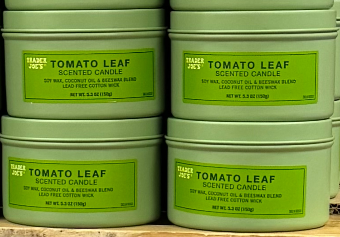 2 Pack Trader Joe’s Tomato Leaf Scented Candle 5.3 oz Soy Wax Blend Spring NEW
