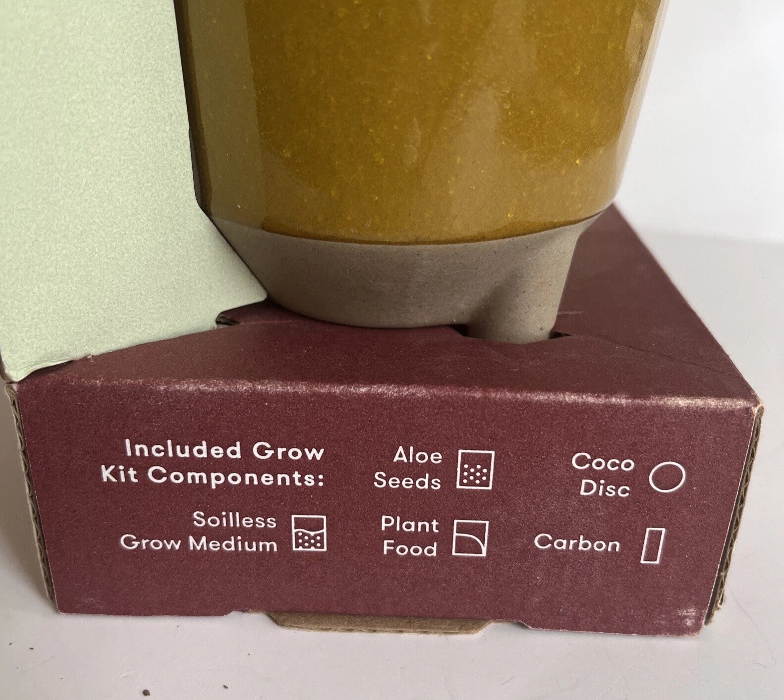 Modern Sprout Glow & Grow DESERT OASIS Candle & Grow Kit – Aloe Seed New