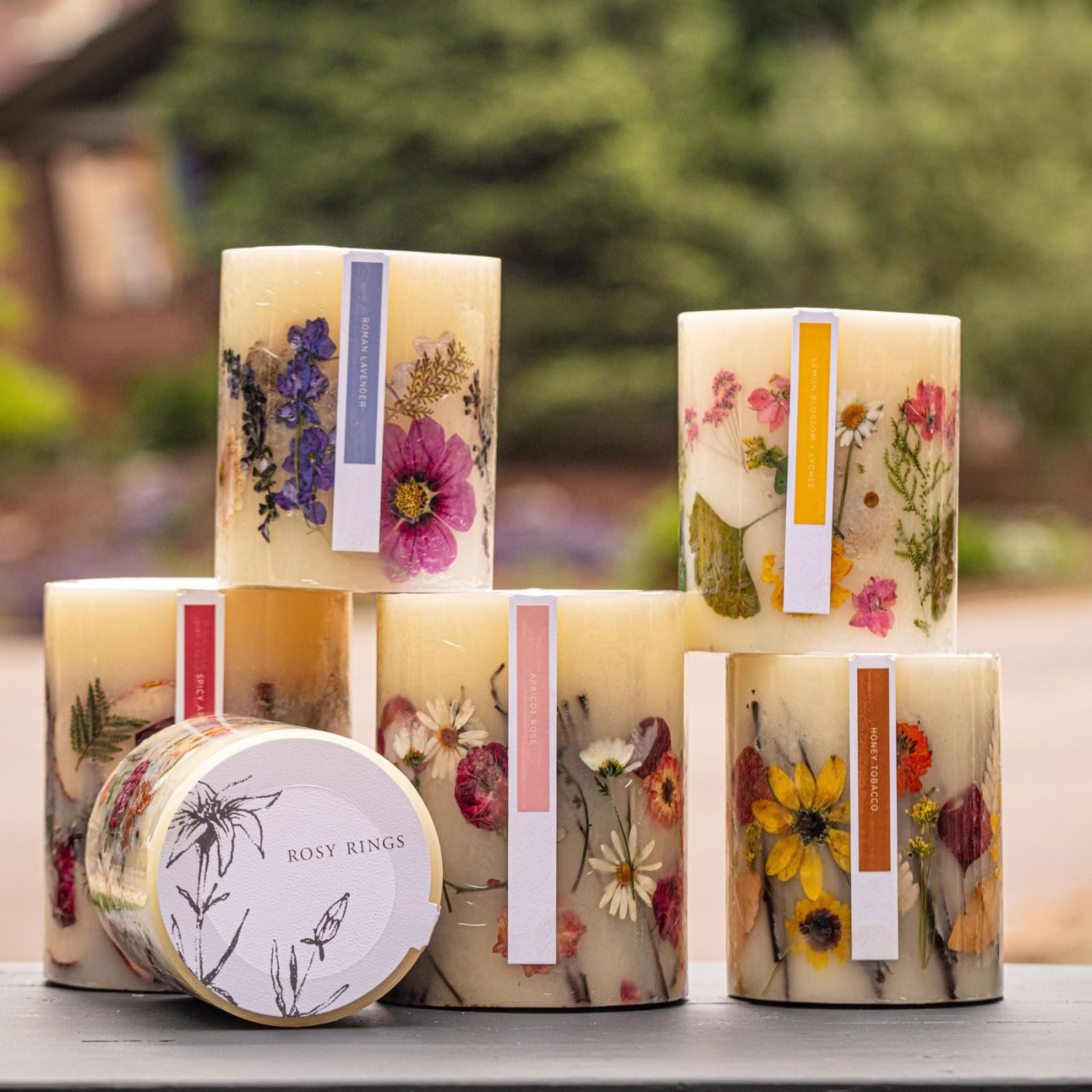 Rosy Rings Medium Round Botanical Candle – Spicy Apple 6.5″ Burn Time 200 Hou…