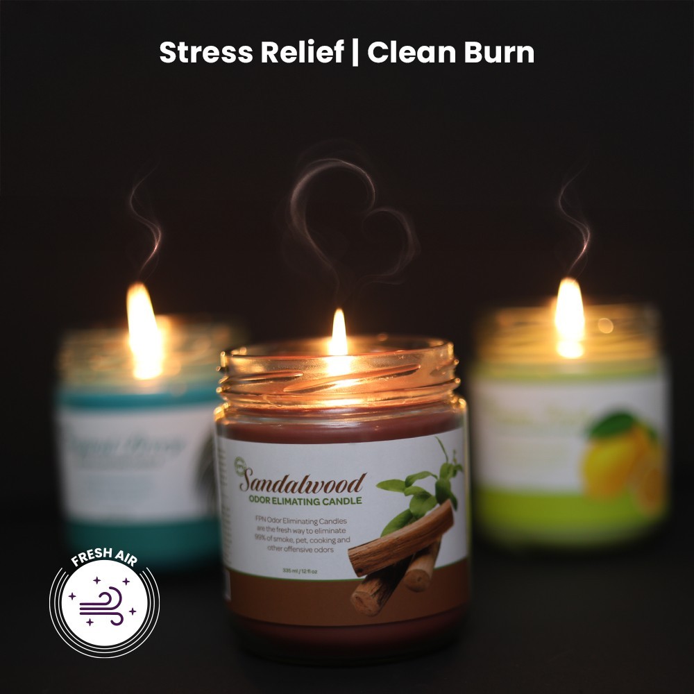 FPN Smoke Scented Odor Eliminating Candles Natural Soy Wax Candle Sandalwood-2Ct