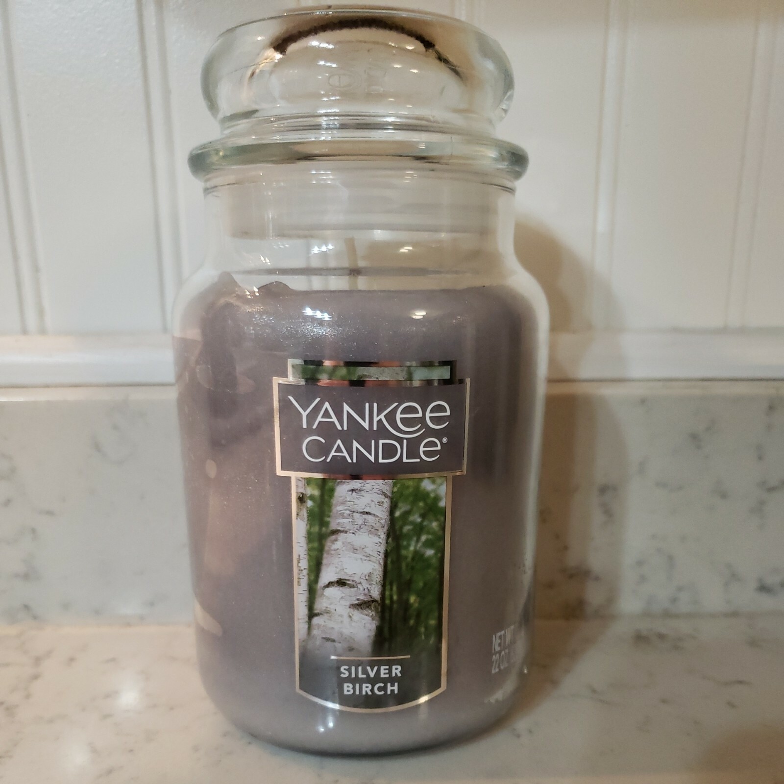 NEW Silver Birch Yankee Candle Original Large Jar Candle 22 oz