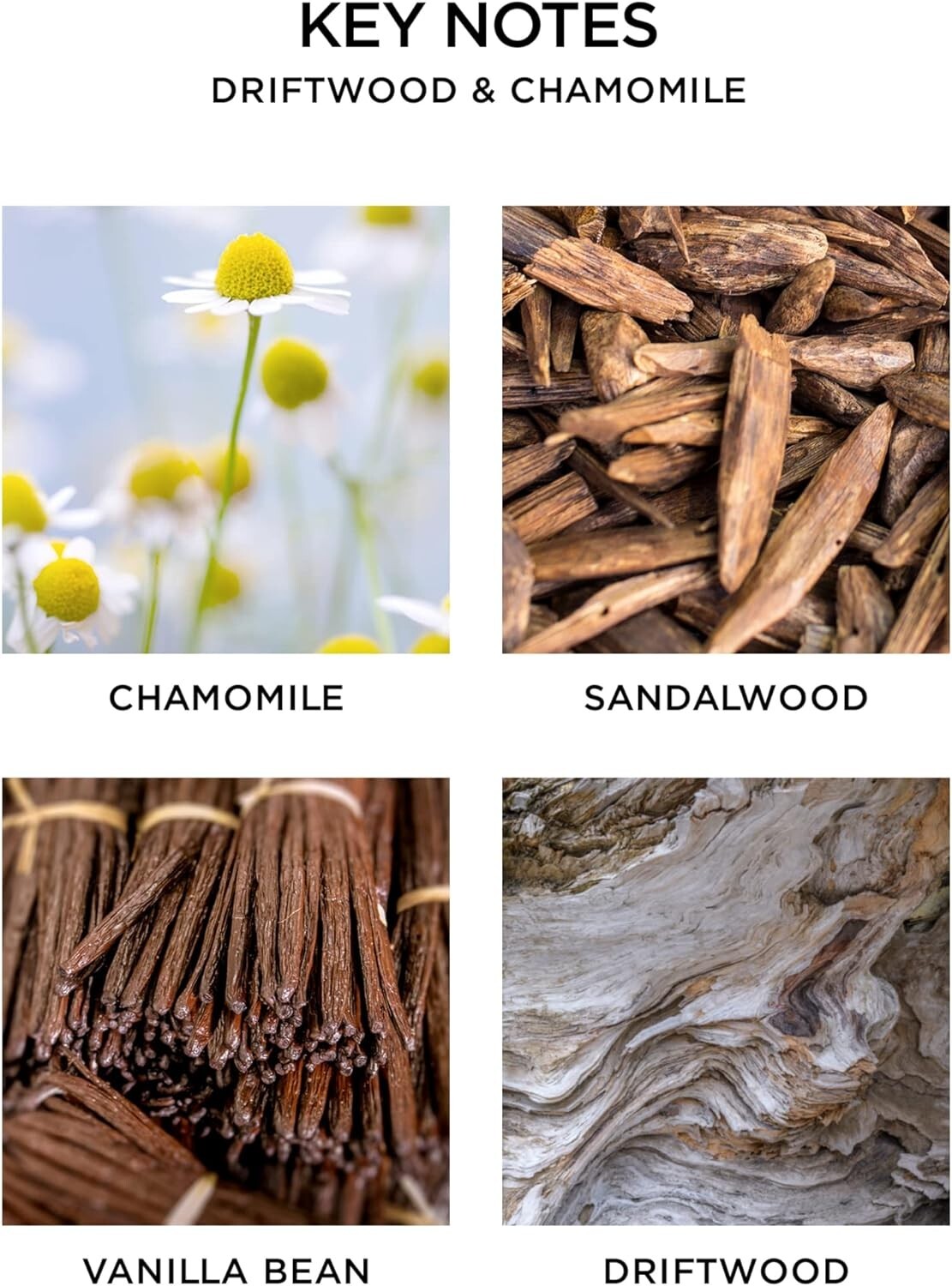 Nest New York Wellness Driftwood & Chamomile Classic Candle 8.1oz New Boxed Gift