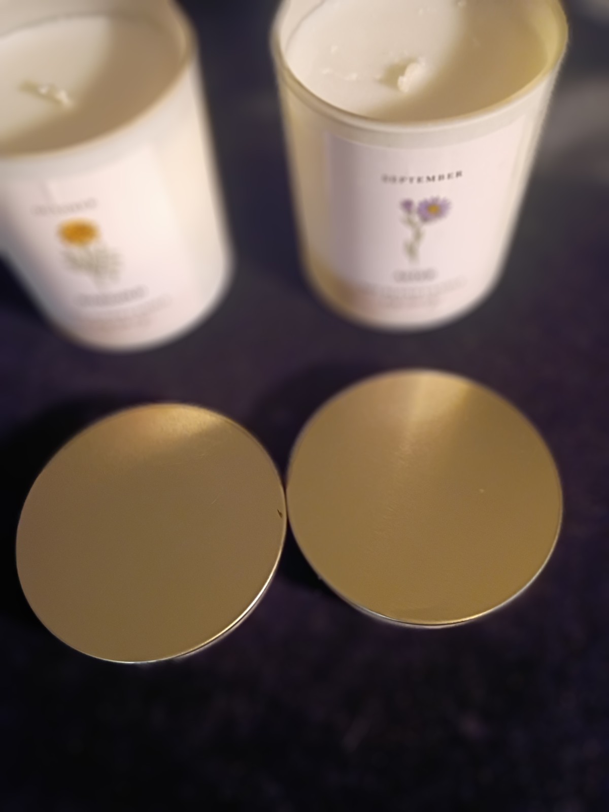 Modern Expressions Soy Blend Candle Lot of 2 September Aster & October Marigold