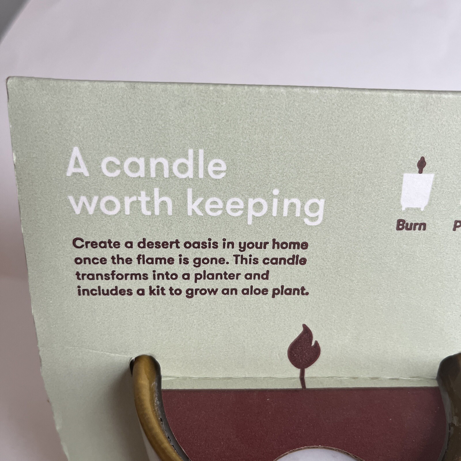 Modern Sprout Glow & Grow DESERT OASIS Candle & Grow Kit – Aloe Seed New