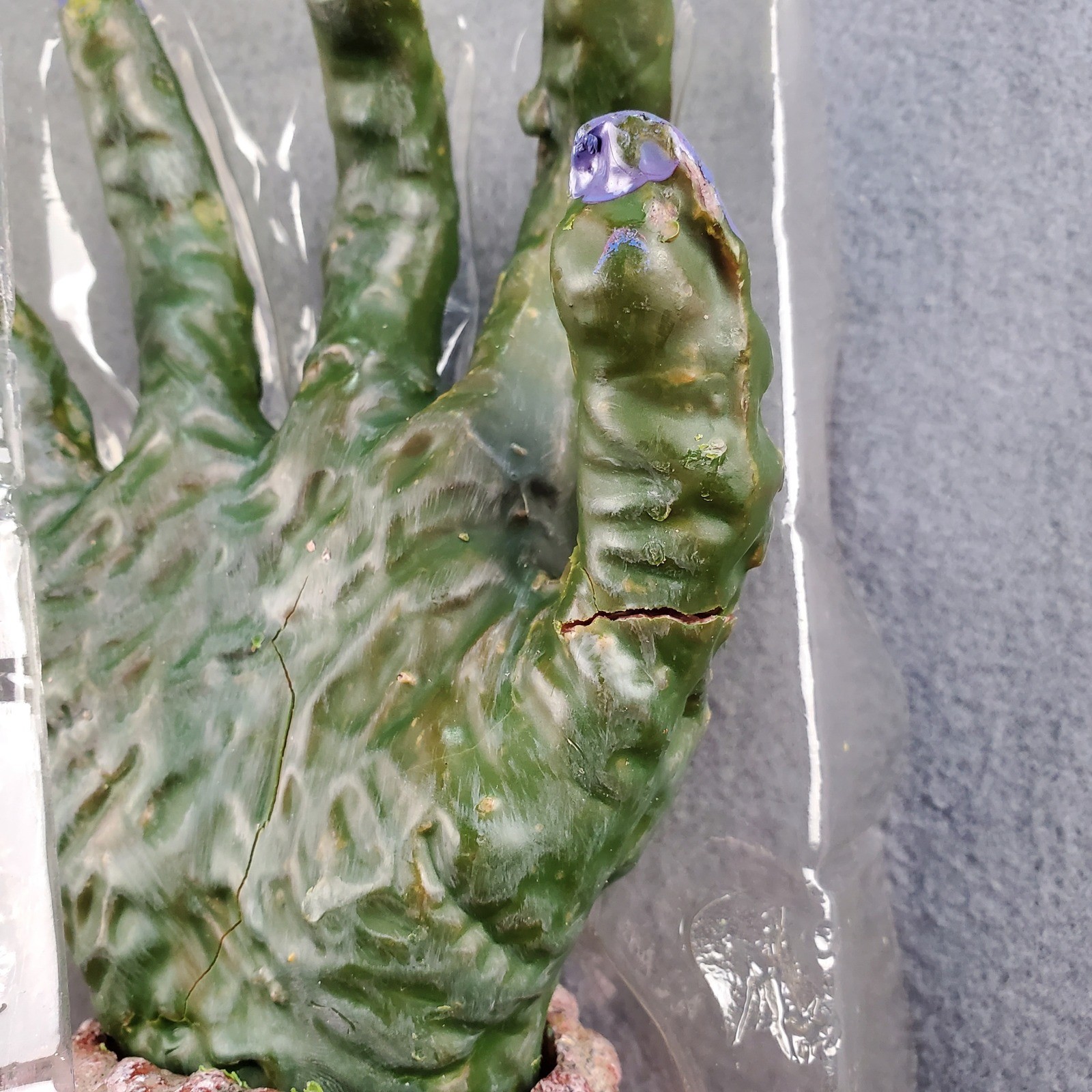 Flesh & Bones Candle Hand Halloween Decor, Open box