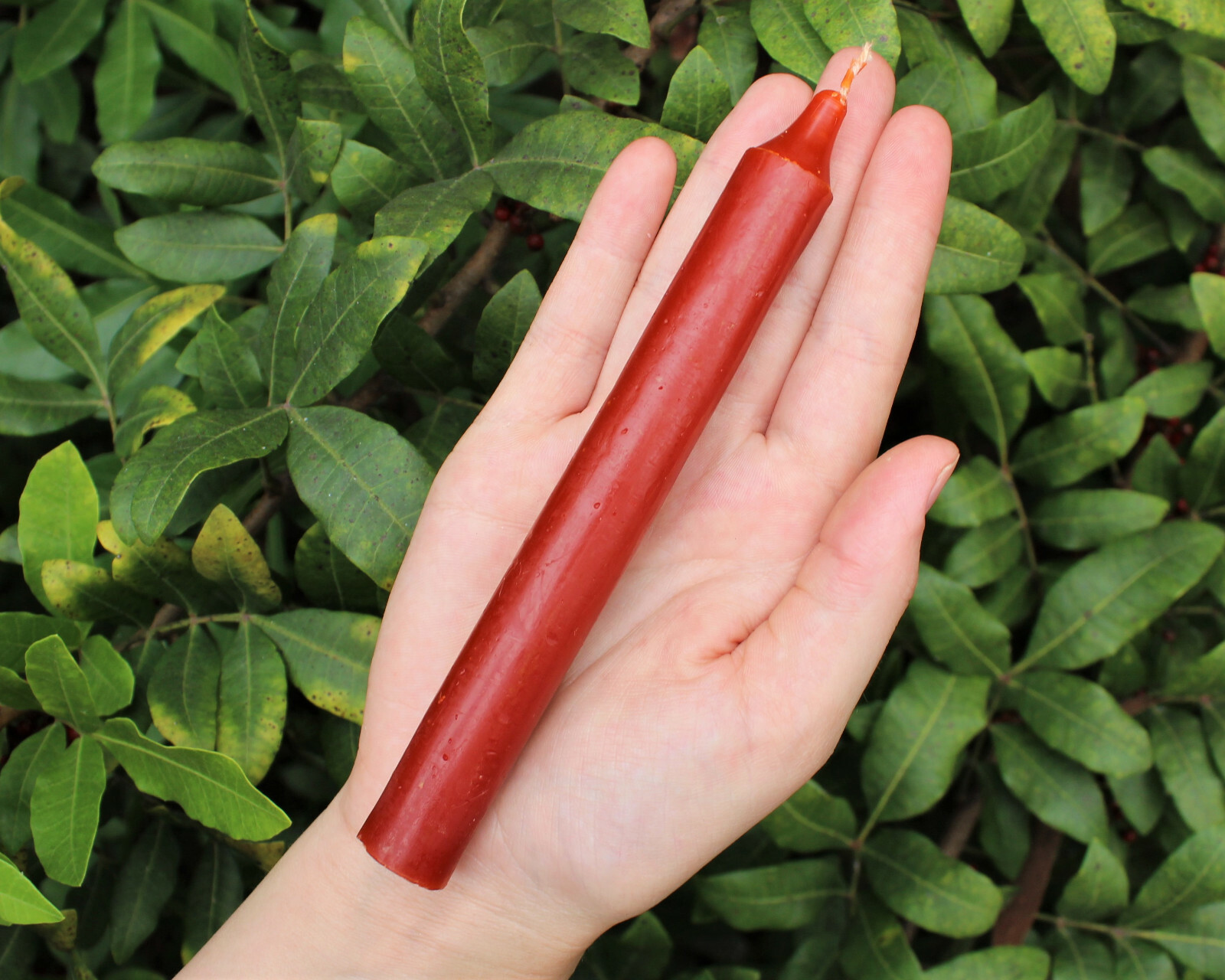Lot of 10 x 6″ Taper Spell Candles: BROWN (Pagan Wicca Altar Household)
