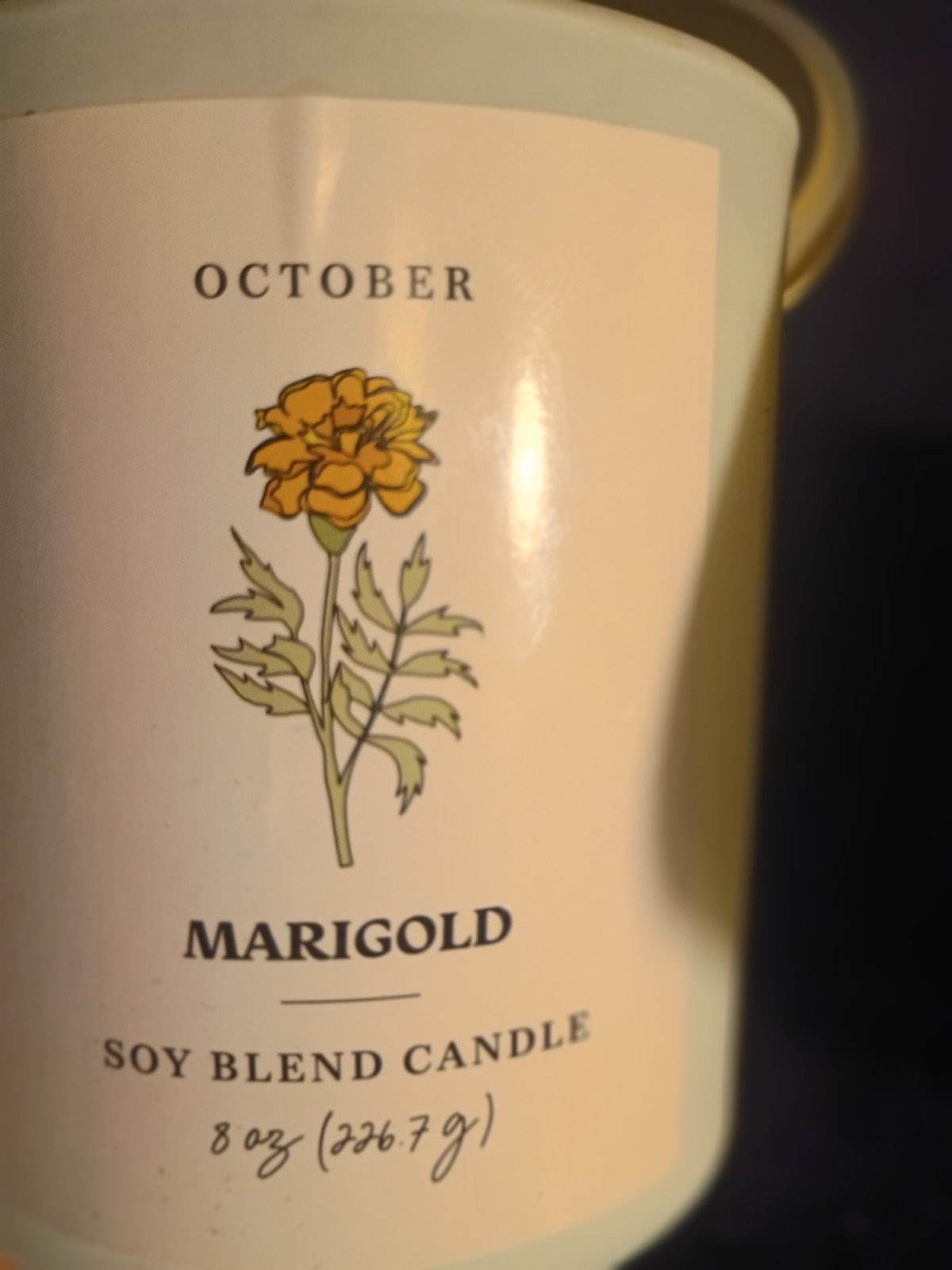 Modern Expressions Soy Blend Candle Lot of 2 September Aster & October Marigold