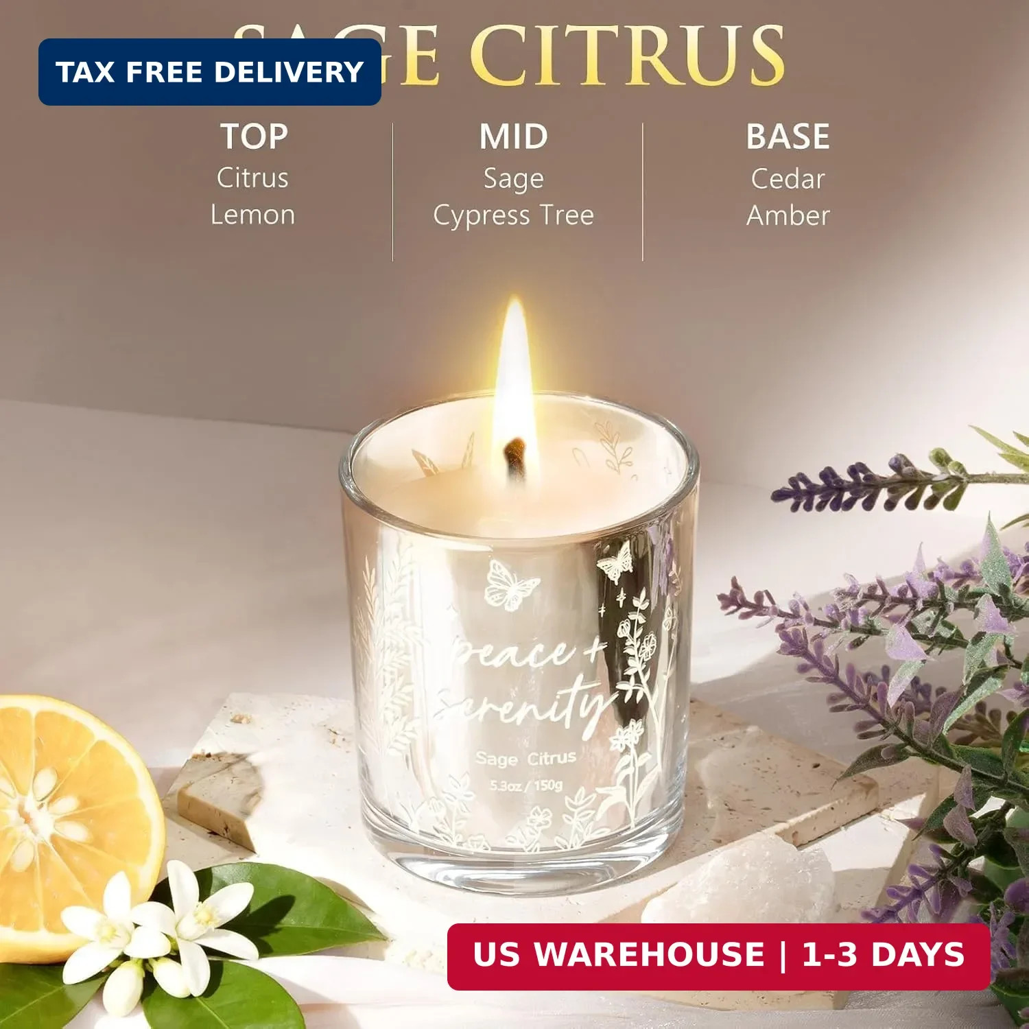 Scented Candles for Women, 3 Pack Soy Wax Candle Gift Sets for Home Scented | Ho