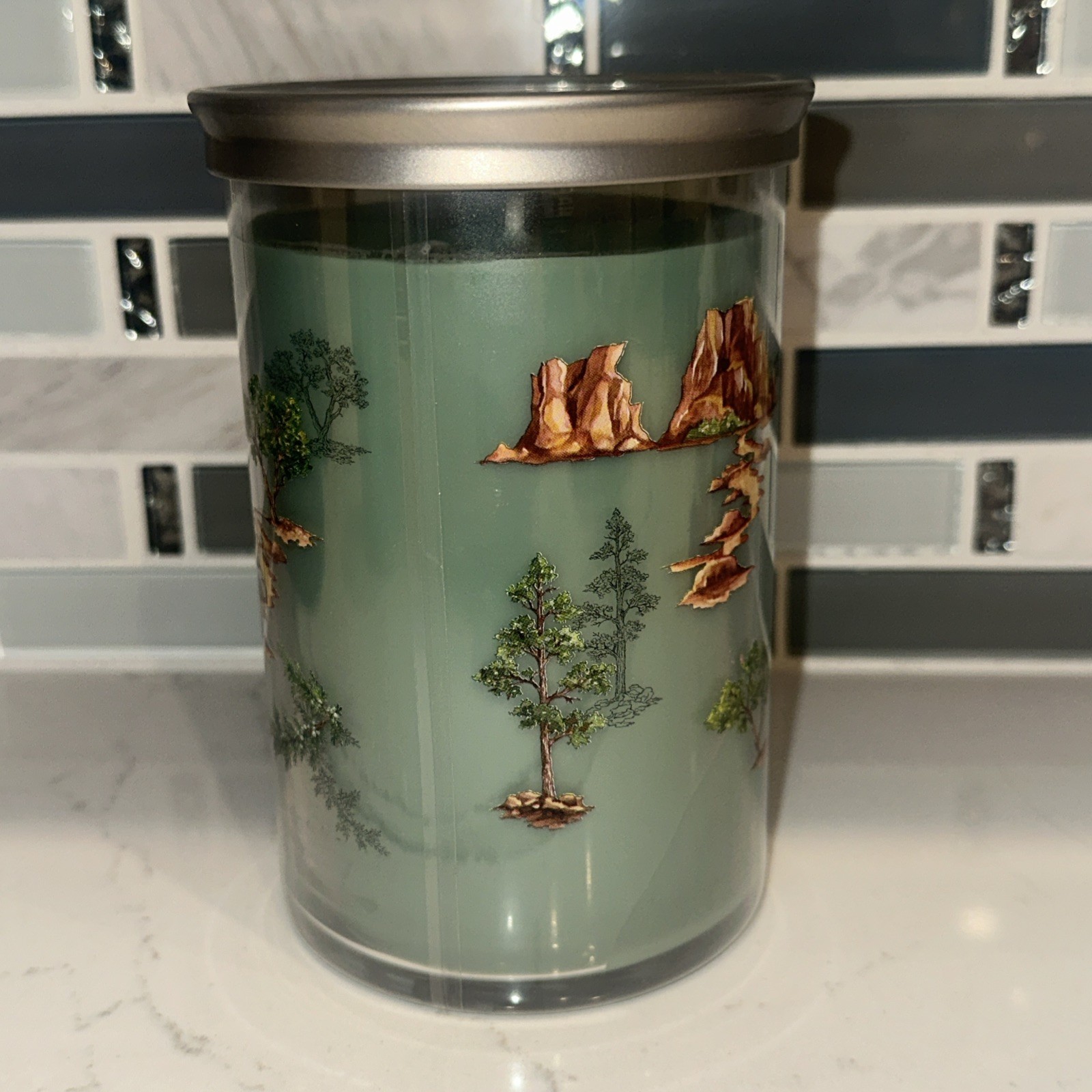 NEW-Yankee Candle CANYON PINE TRAIL Large 20oz- 2 WICK