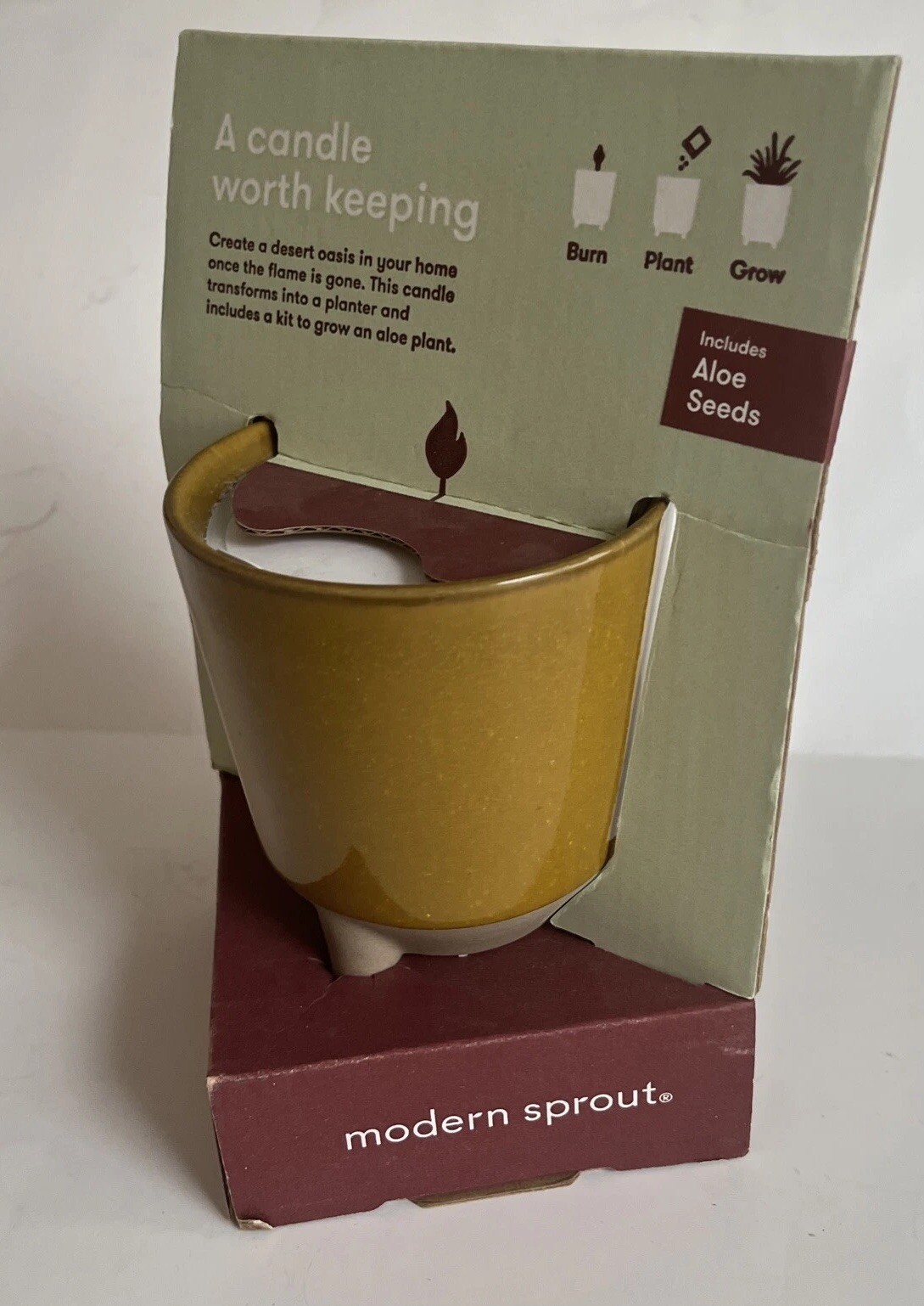 Modern Sprout Glow & Grow DESERT OASIS Candle & Grow Kit – Aloe Seed New