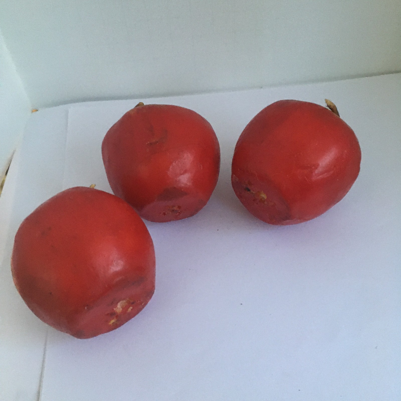 Vintage 3 Heavy Red Apple Wax Candle Life Size Odorless 2.50 Inches Realistic
