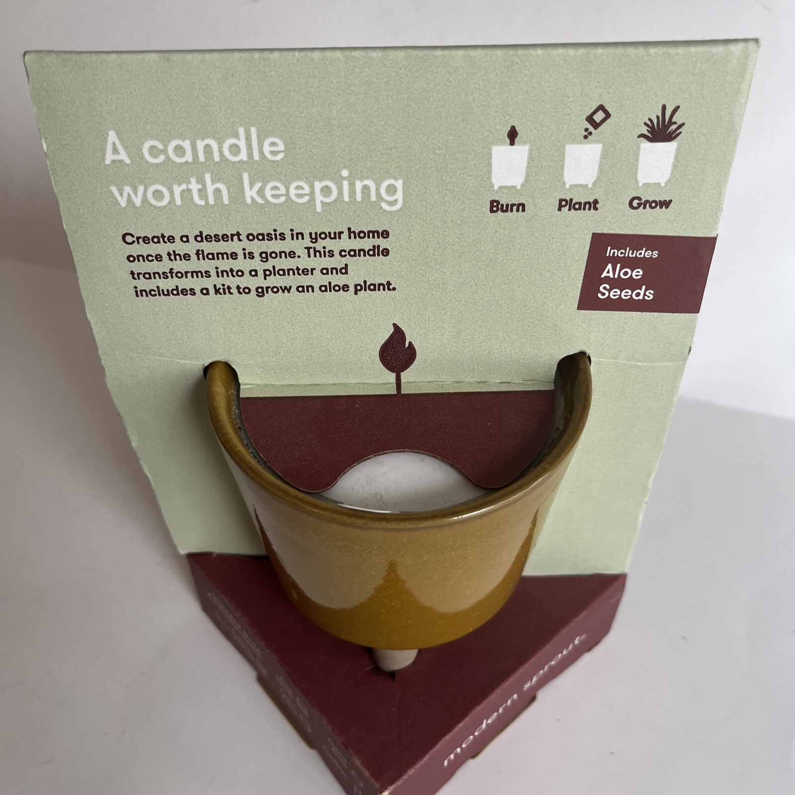 Modern Sprout Glow & Grow DESERT OASIS Candle & Grow Kit – Aloe Seed New