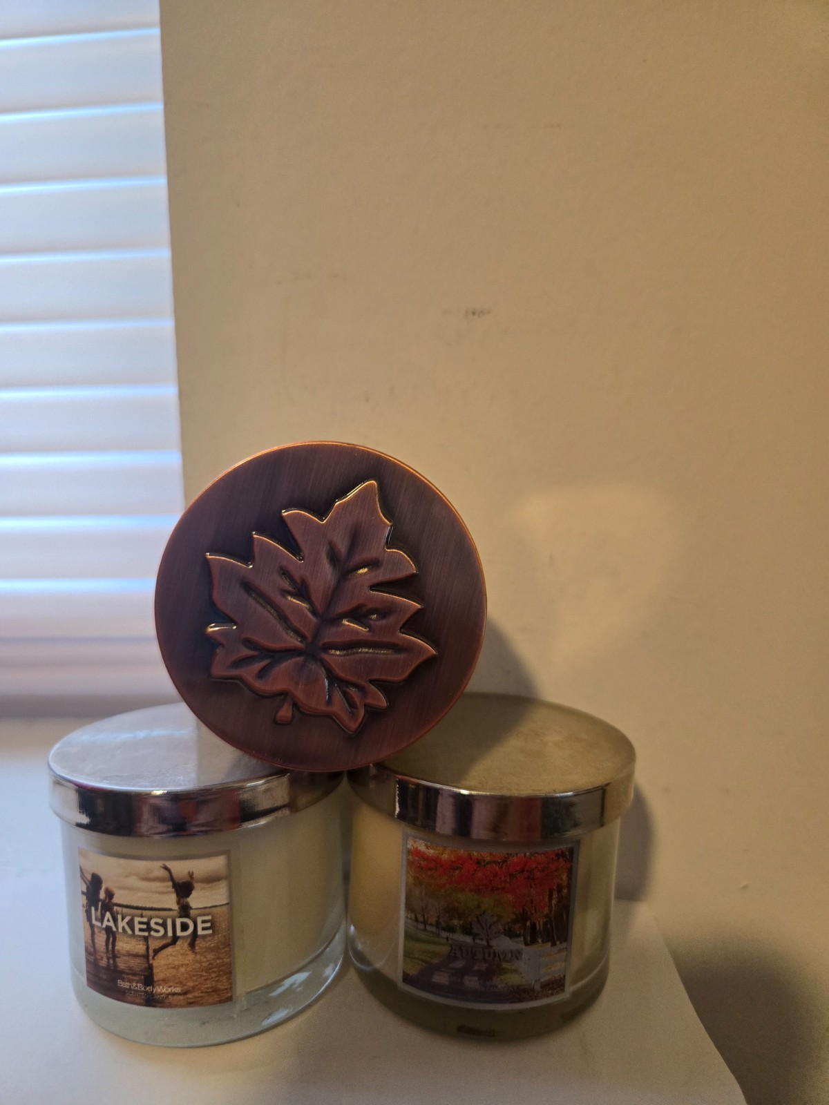 BATH & BODY WORKS FALL MINI CANDLE X3 RARE