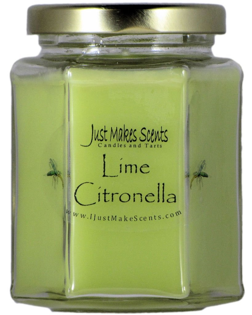Lime Citronella Scented Blended Soy Candle for Indoor Use by Just Makes Scent…