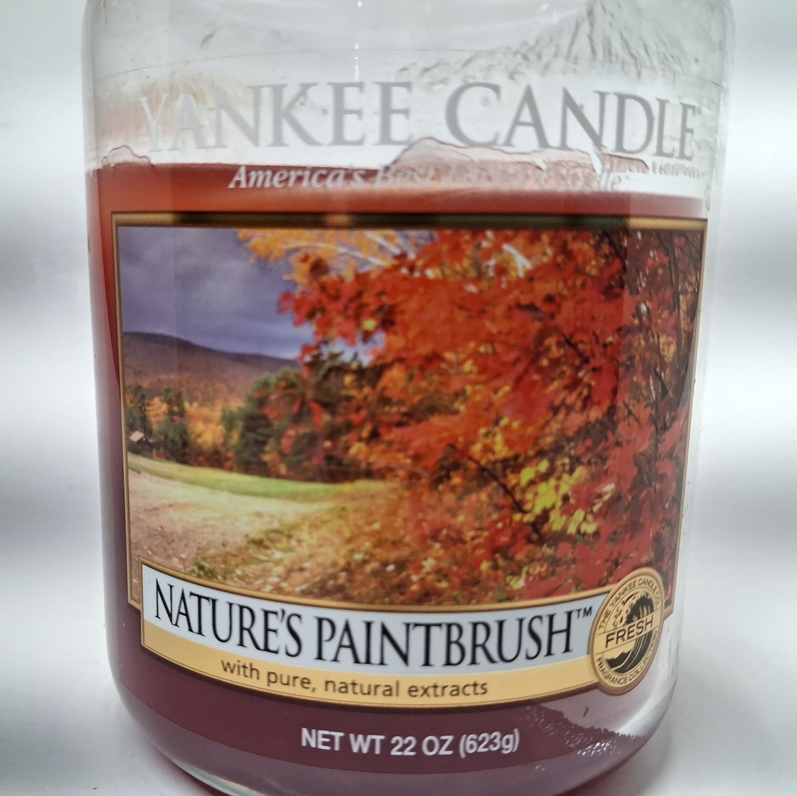 Yankee Candle “NATURE’S PAINTBRUSH” Large Jar 22 oz Rare Retired Scent Used