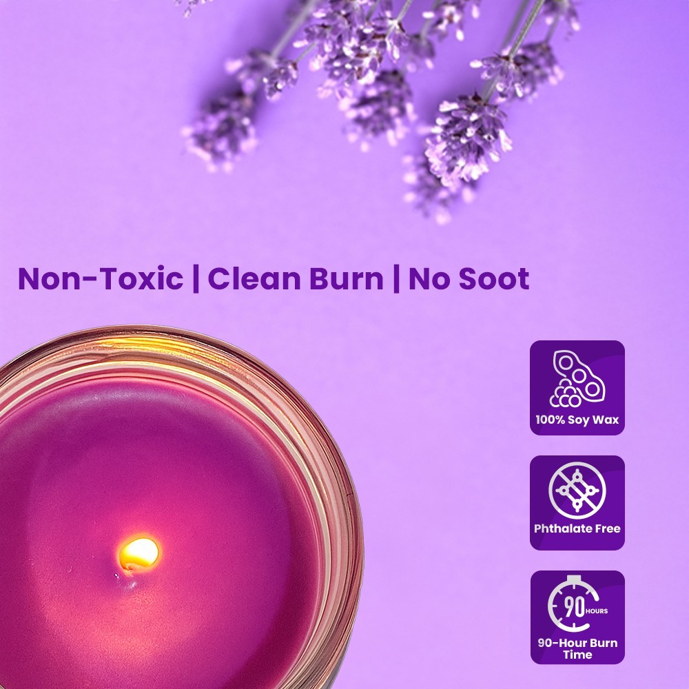 FPN Scented Odor Eliminating Candles Jars Soyawax Candle Lavender Scent 2 Pcs