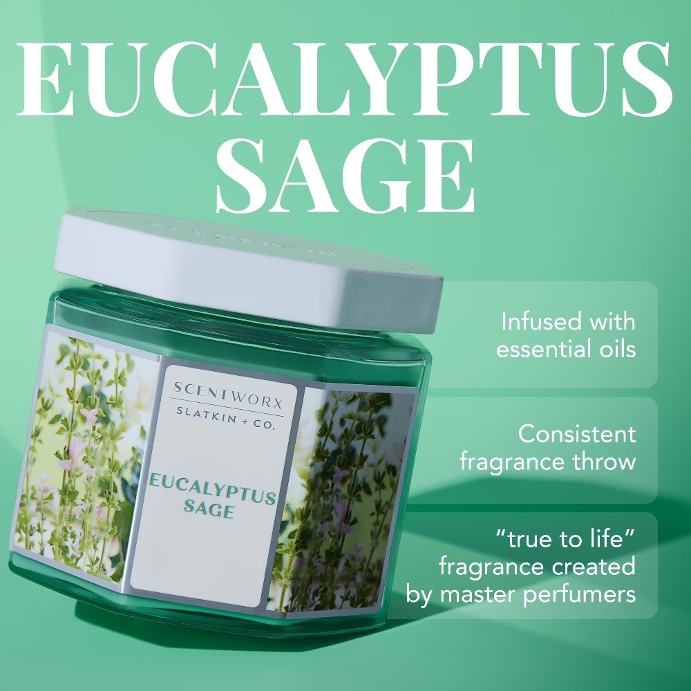 Large 3-Wick Jar Candle Eucalyptus Sage Scented Home Fragrance 14.5 oz