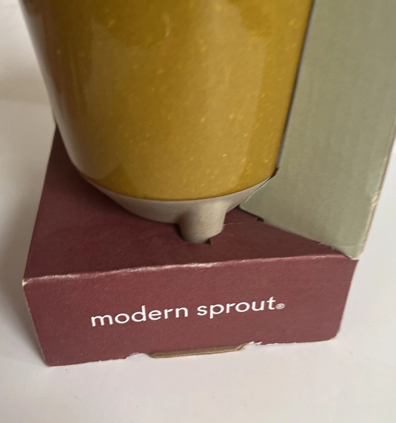 Modern Sprout Glow & Grow DESERT OASIS Candle & Grow Kit – Aloe Seed New