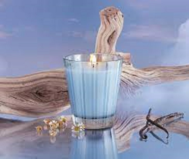 Nest New York Wellness Driftwood & Chamomile Classic Candle 8.1oz New Boxed Gift