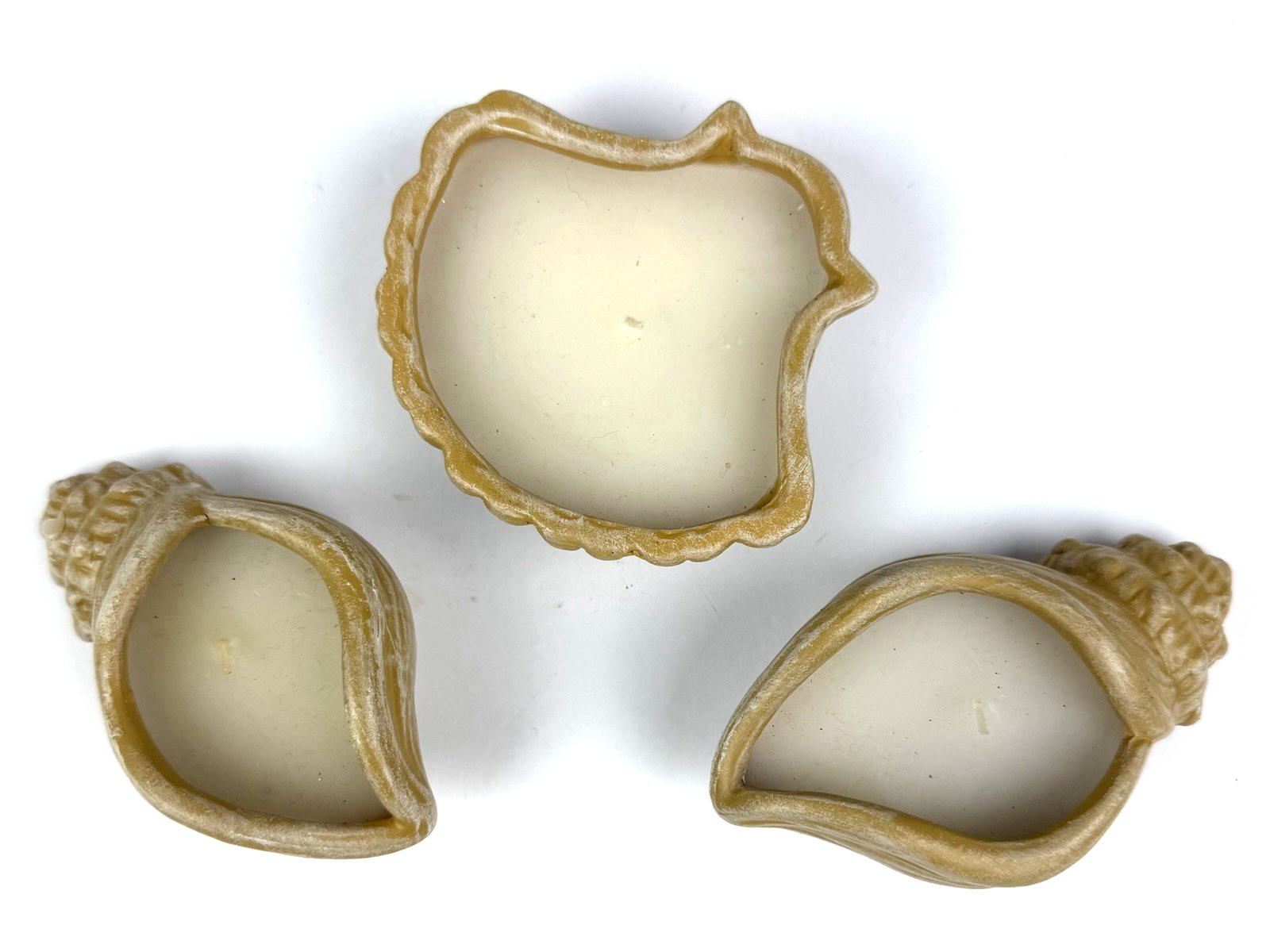 3 Sea Shell Candle Filed Holders Beach House Decor Seaside