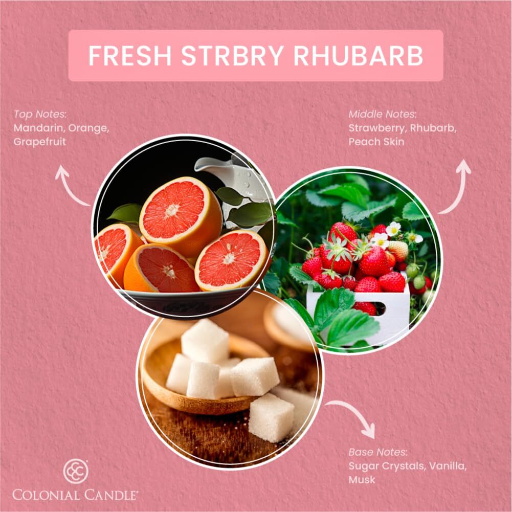 Fresh Strawberry Rhubarb Scented Jar Candle 2 Wick 3.5 oz Mottled Wax
