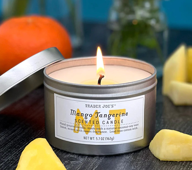Trader Joe’s Candles 5.7oz each Lead Free Soy MIX AND MATCH FAST SHIP