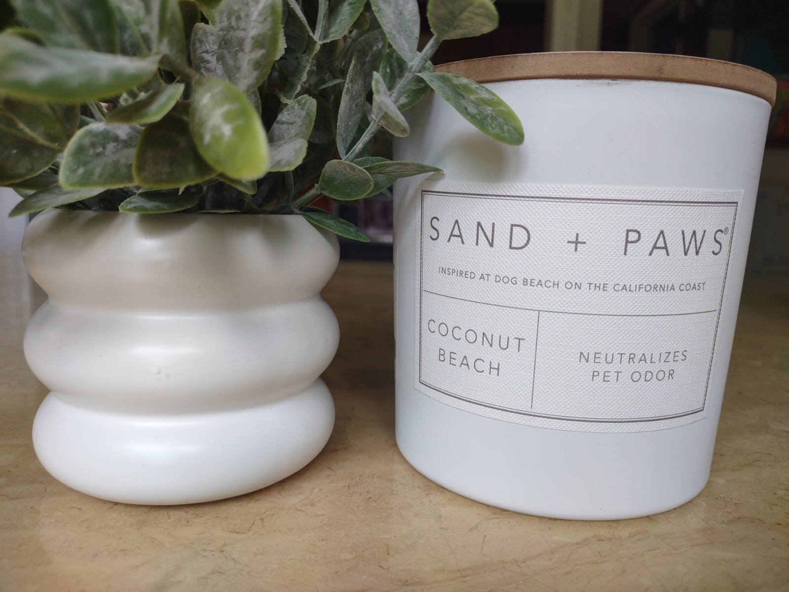 Sand and Paw Coconut Beach Soy Wax Candle, 3 Wick, Large Size 595.35g/21oz