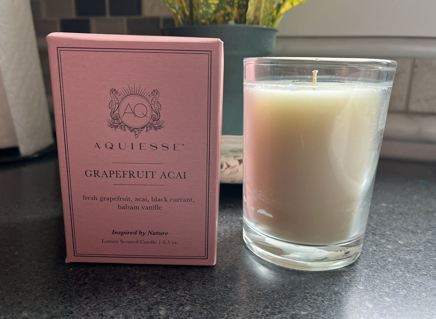 AQUIESSE – GRAPEFRUIT ACAI Luxury Scented Soy Candle NIB 6.5 oz Single wick