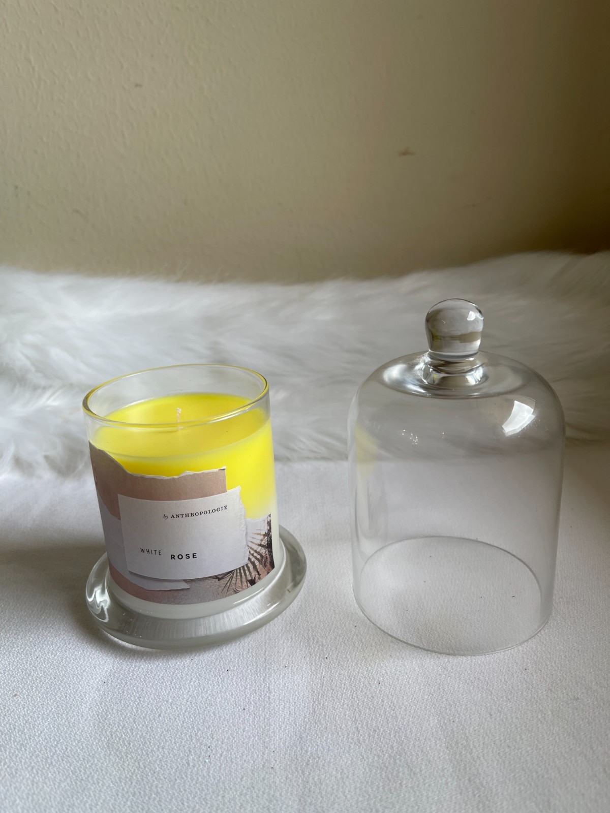 Zodax By Anthropologie White Rose Scented Candle Jar with Glass Dome NEW.