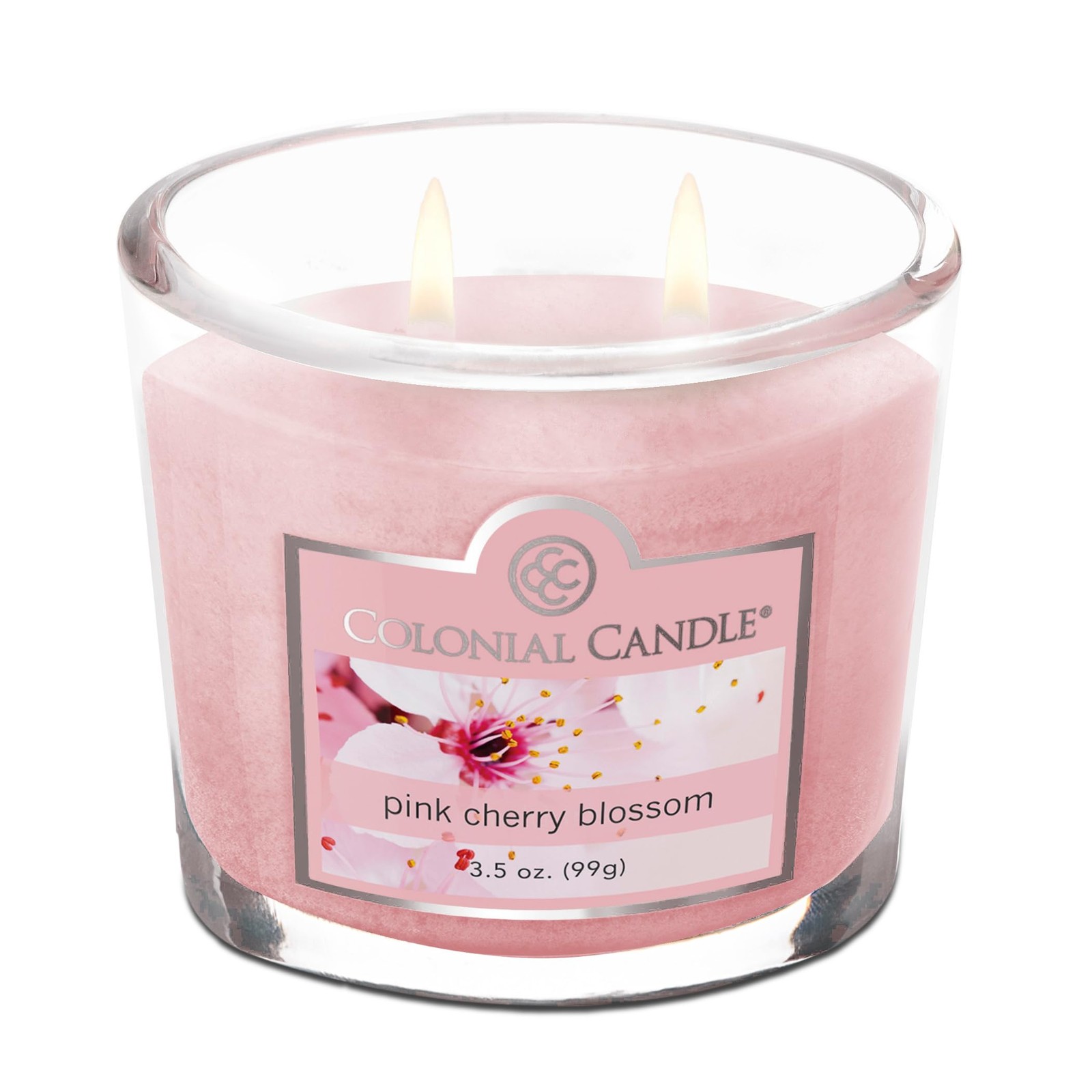 Pink Cherry Blossom Scented Jar Candle 2 Wick, 3.5 oz Mottled Wax