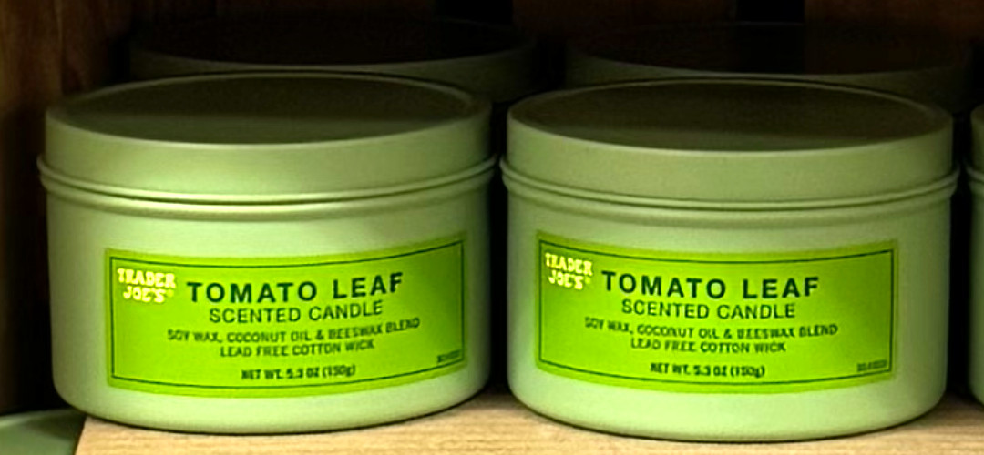 Trader Joe’s Tomato Leaf Scented Candle 5.3 oz Soy Wax Blend Spring NEW