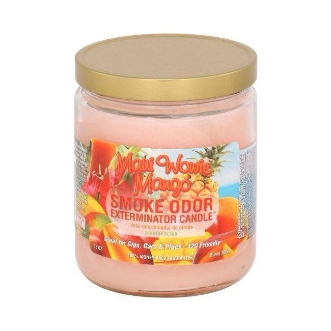 Smoke Odor Exterminator 13 oz Jar Candles – Select from 51 flavors – wide variey