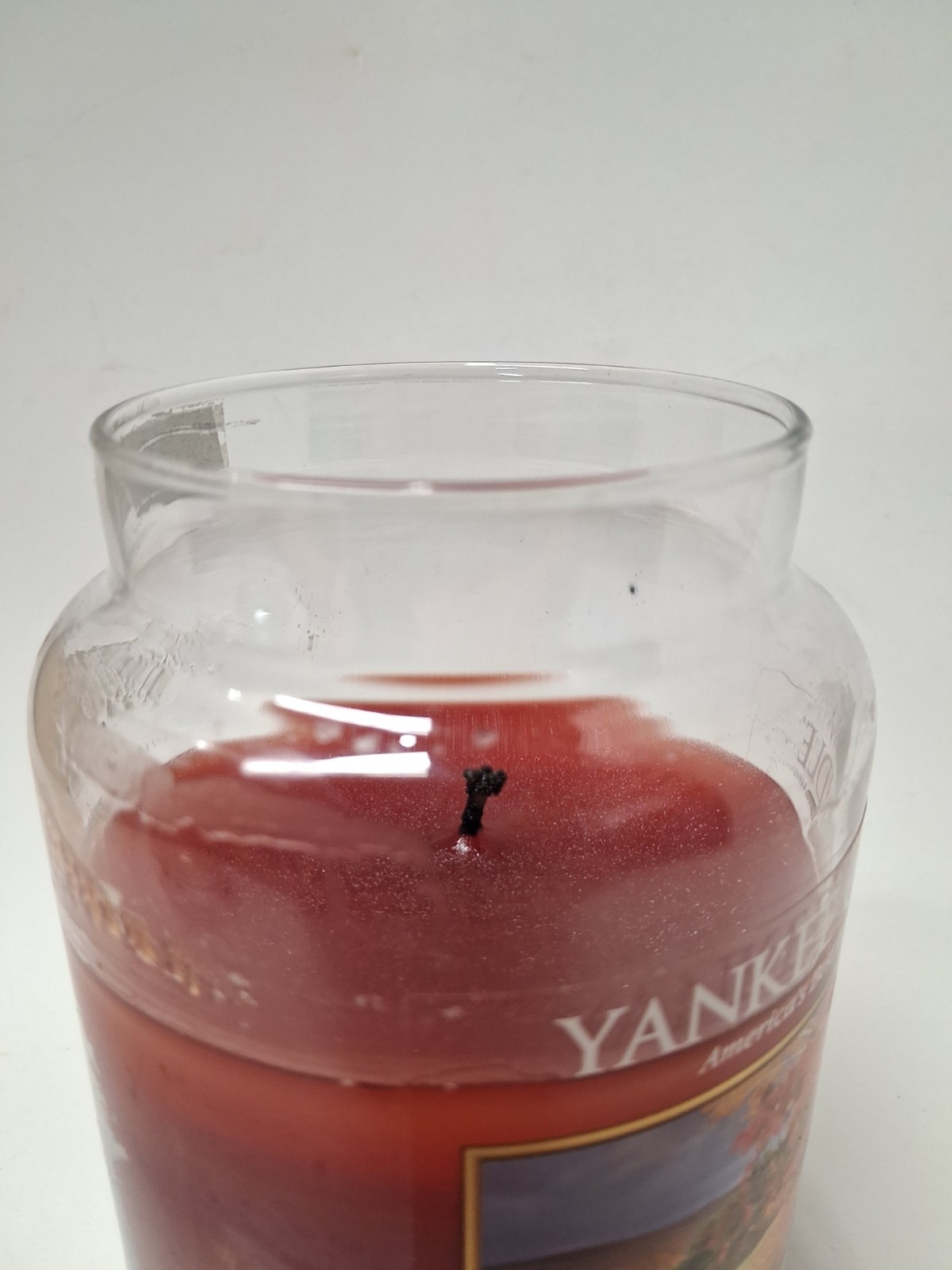 Yankee Candle “NATURE’S PAINTBRUSH” Large Jar 22 oz Rare Retired Scent Used