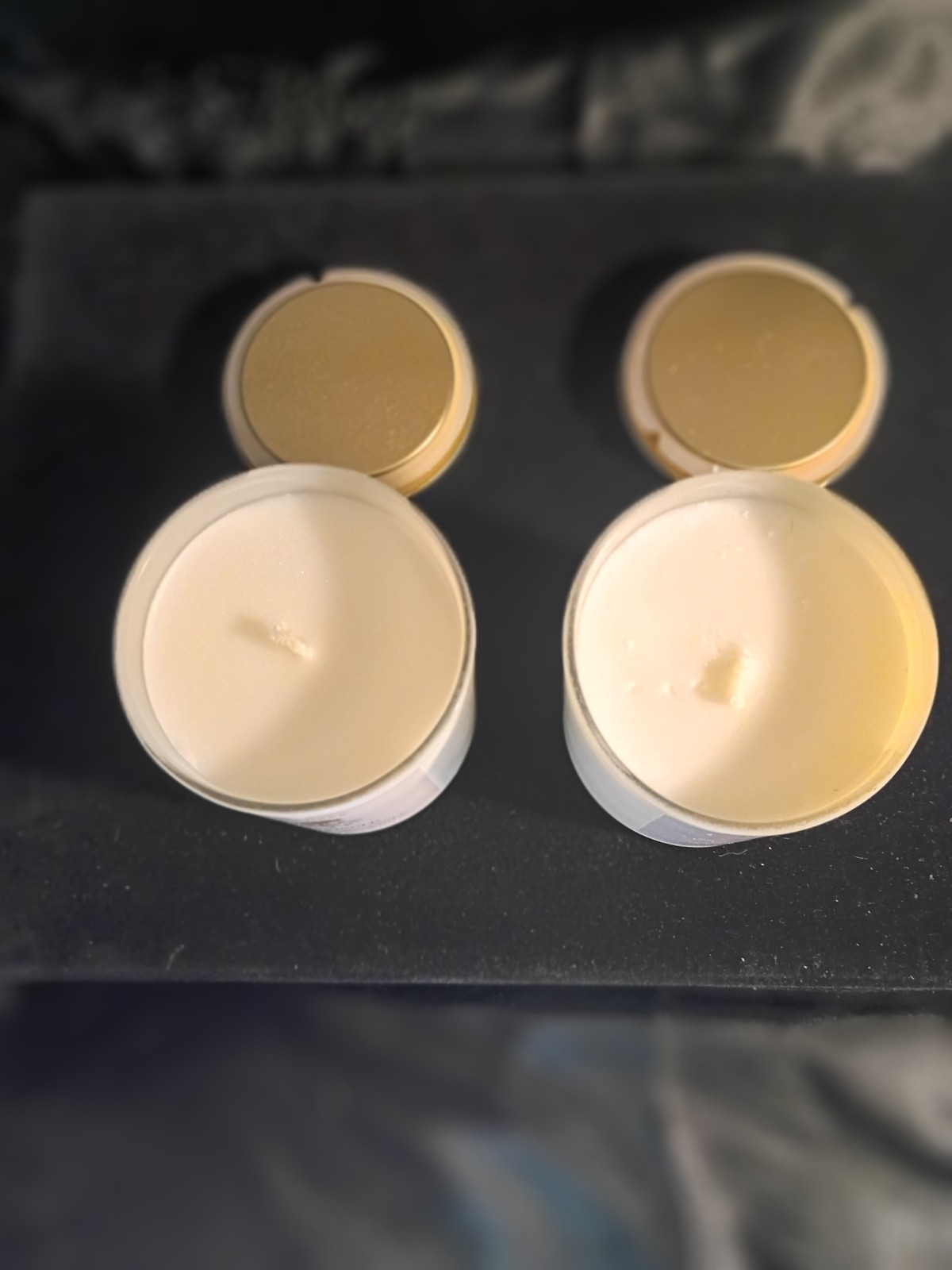 Modern Expressions Soy Blend Candle Lot of 2 September Aster & October Marigold