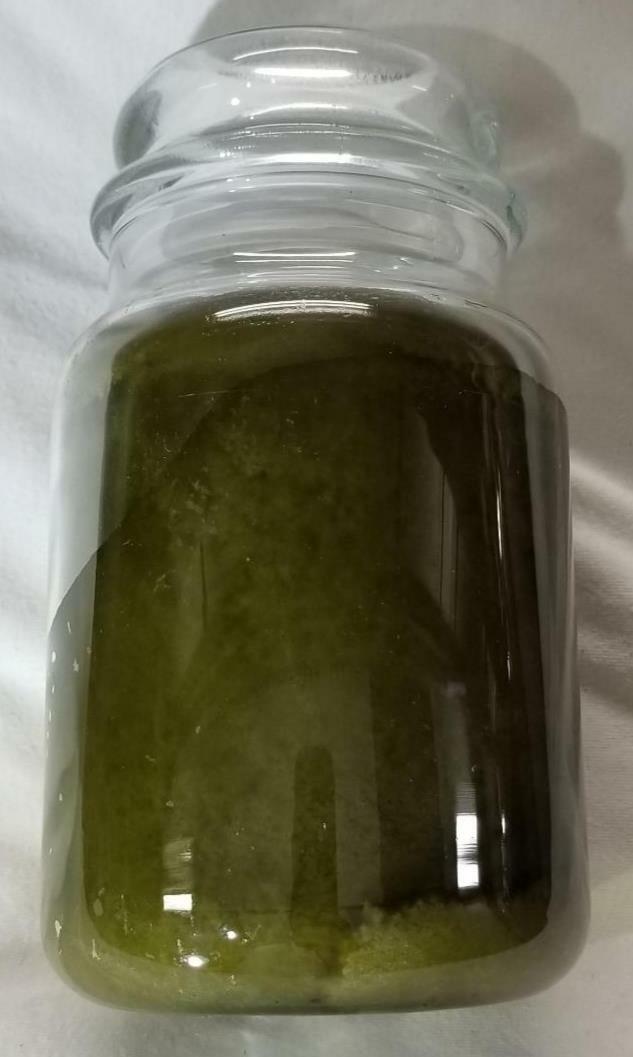 Yankee Candle AUTUMN LODGE Large Jar 22 Oz Green Housewarmer New Wax