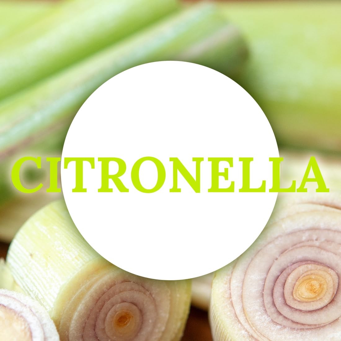Natural Citronella Tea Light Candles, Tiny Soy Wax Aromatherapy Citronella Te…