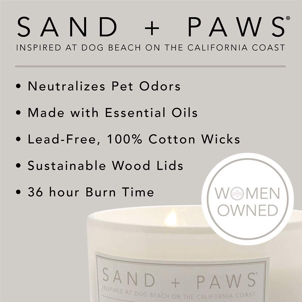 Sand + Paws Scented Candle Ocean Sea Salt Pet Odor Eliminator Jar 12 oz