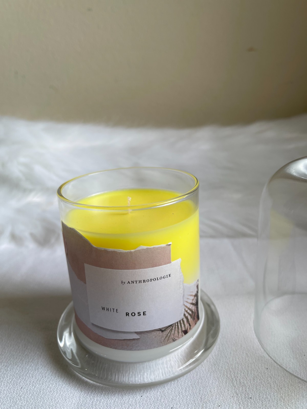 Zodax By Anthropologie White Rose Scented Candle Jar with Glass Dome NEW.