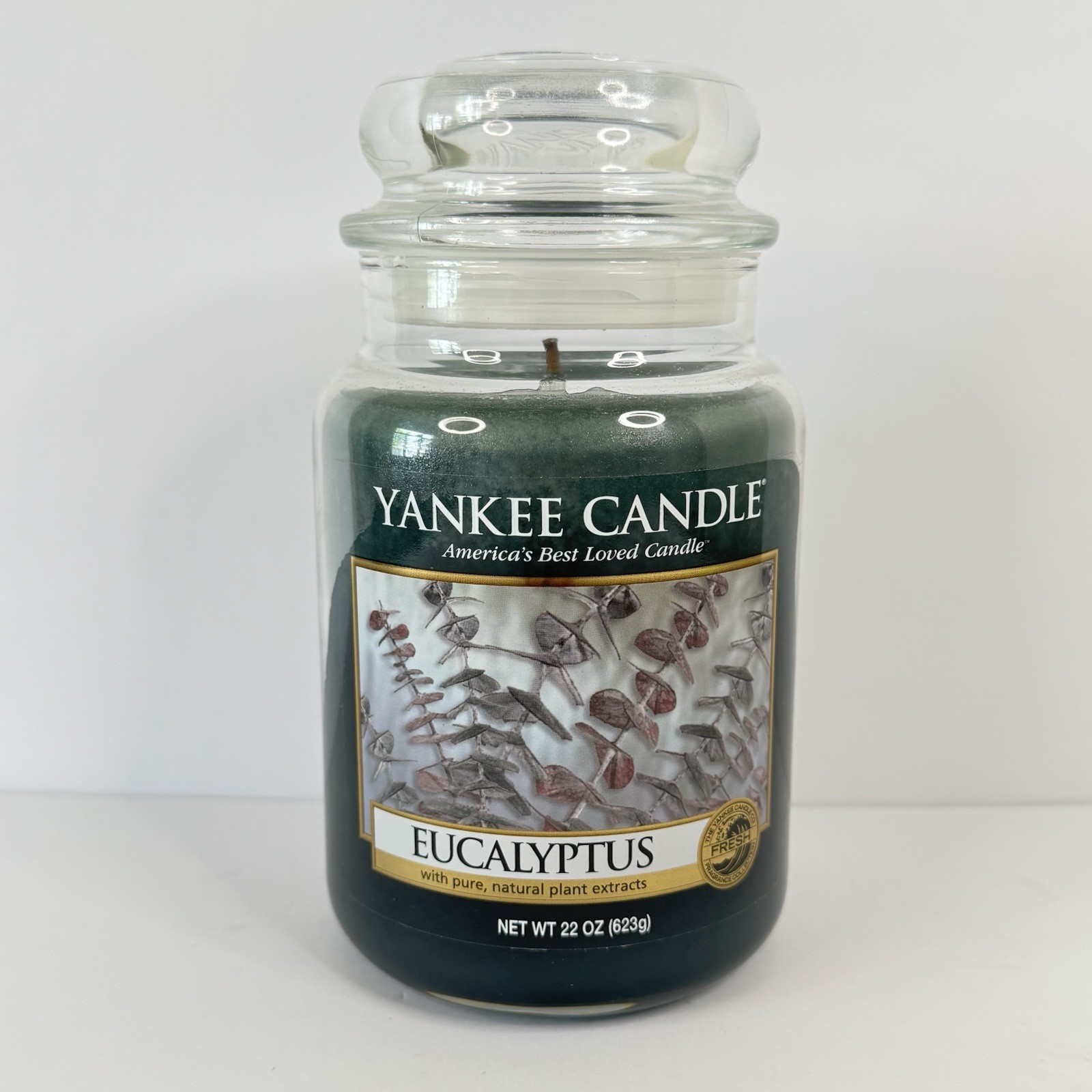 Yankee Candle Eucalyptus Large 22 oz Rare And Retired, Unlit, New Old Stock