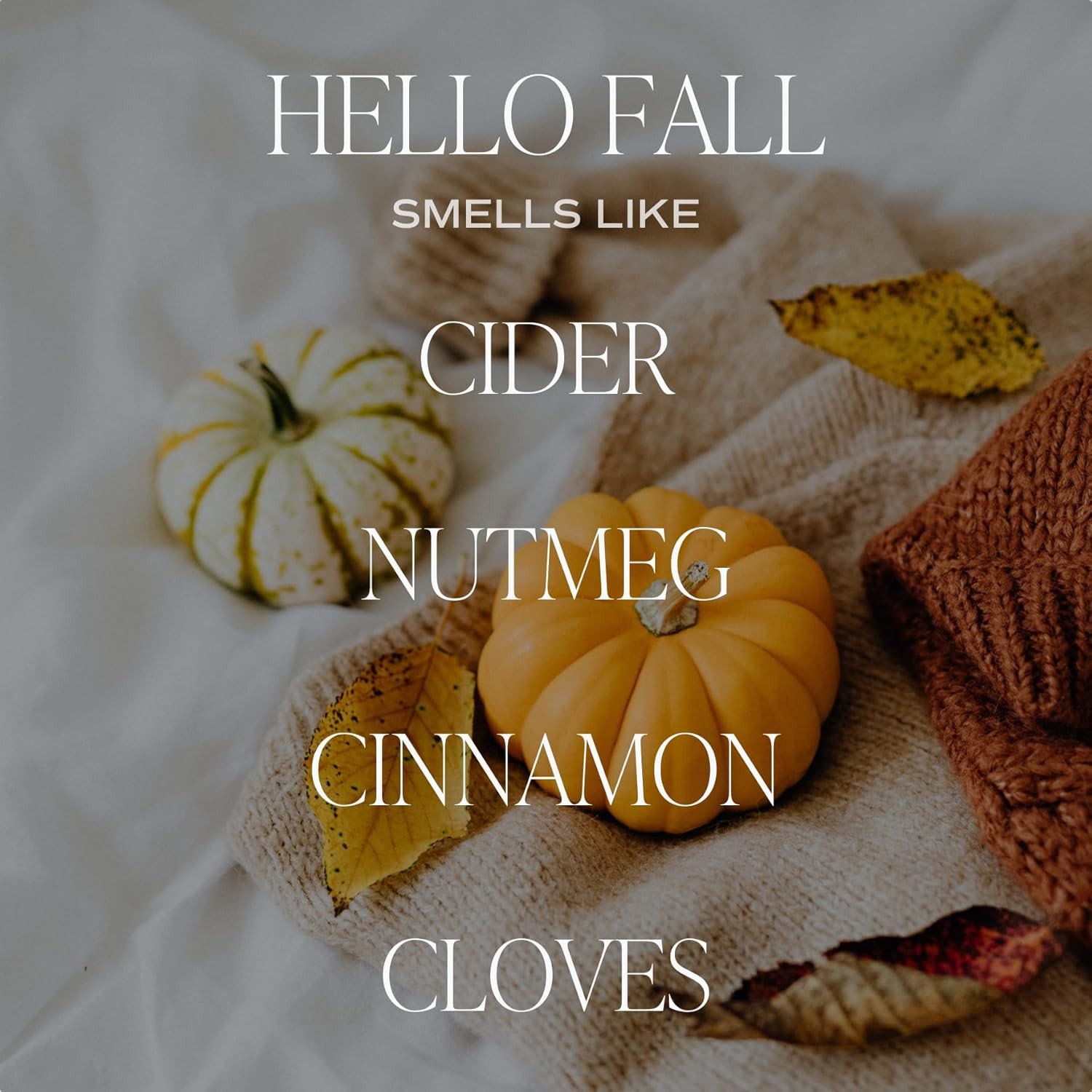 Hello Fall Soy Candles – Includes Hot Cider, Cinnamon, Cloves, and Nutmeg Scent