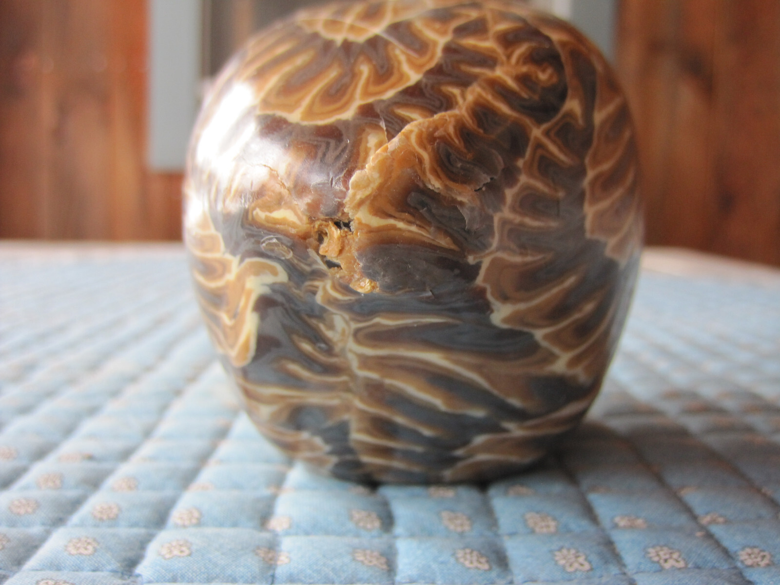 Wax carved candle Canada Goose figure, fall decor