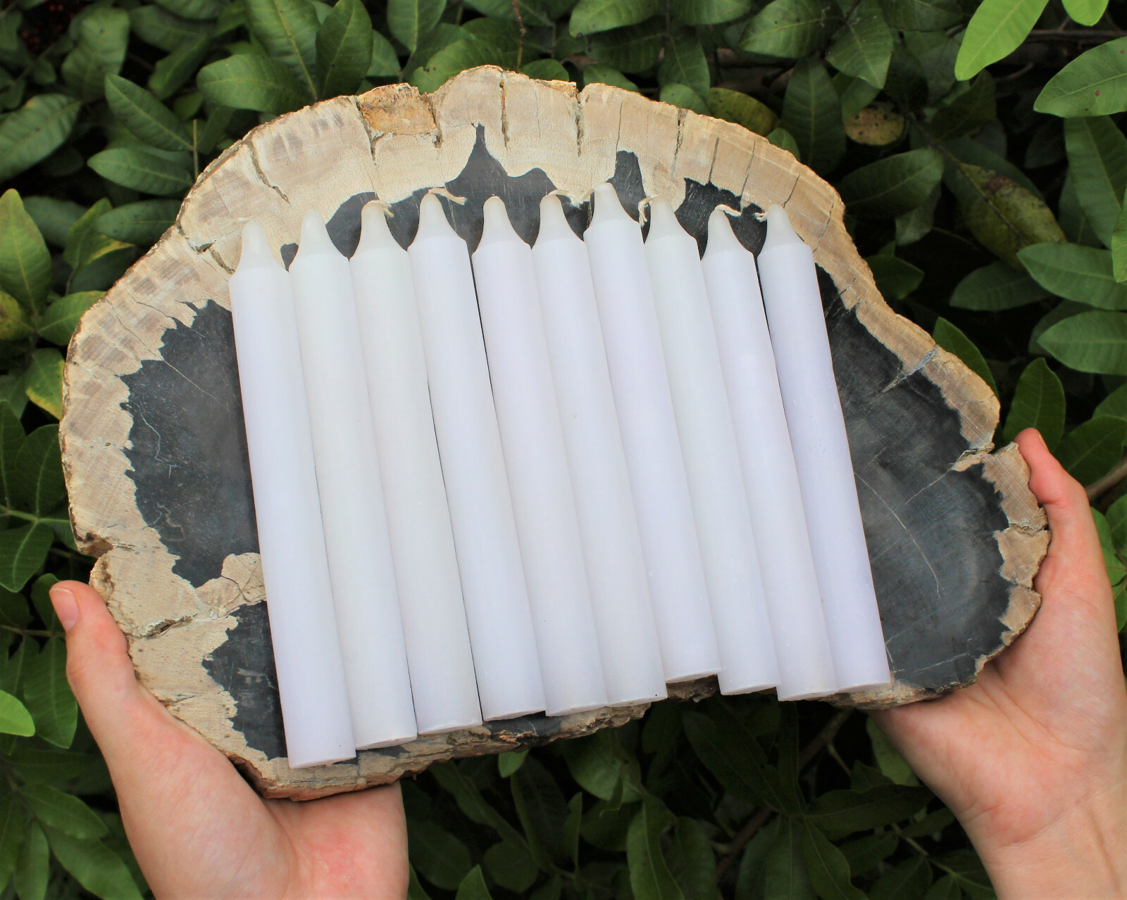 Lot of 36 x 6″ Taper Candles: WHITE (Spell Candles Altar Household)