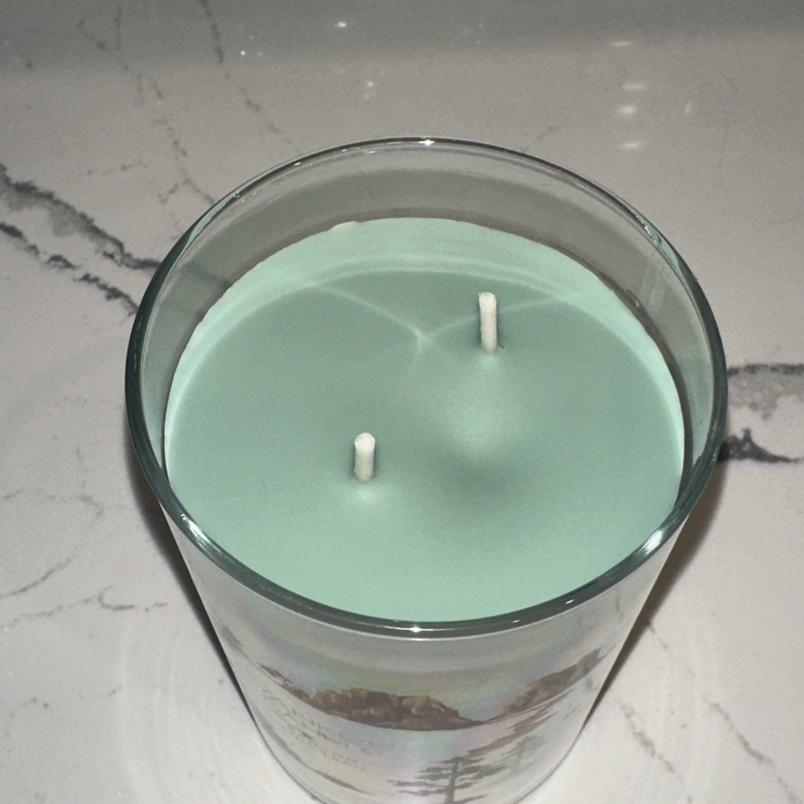 NEW-Yankee Candle CANYON PINE TRAIL Large 20oz- 2 WICK