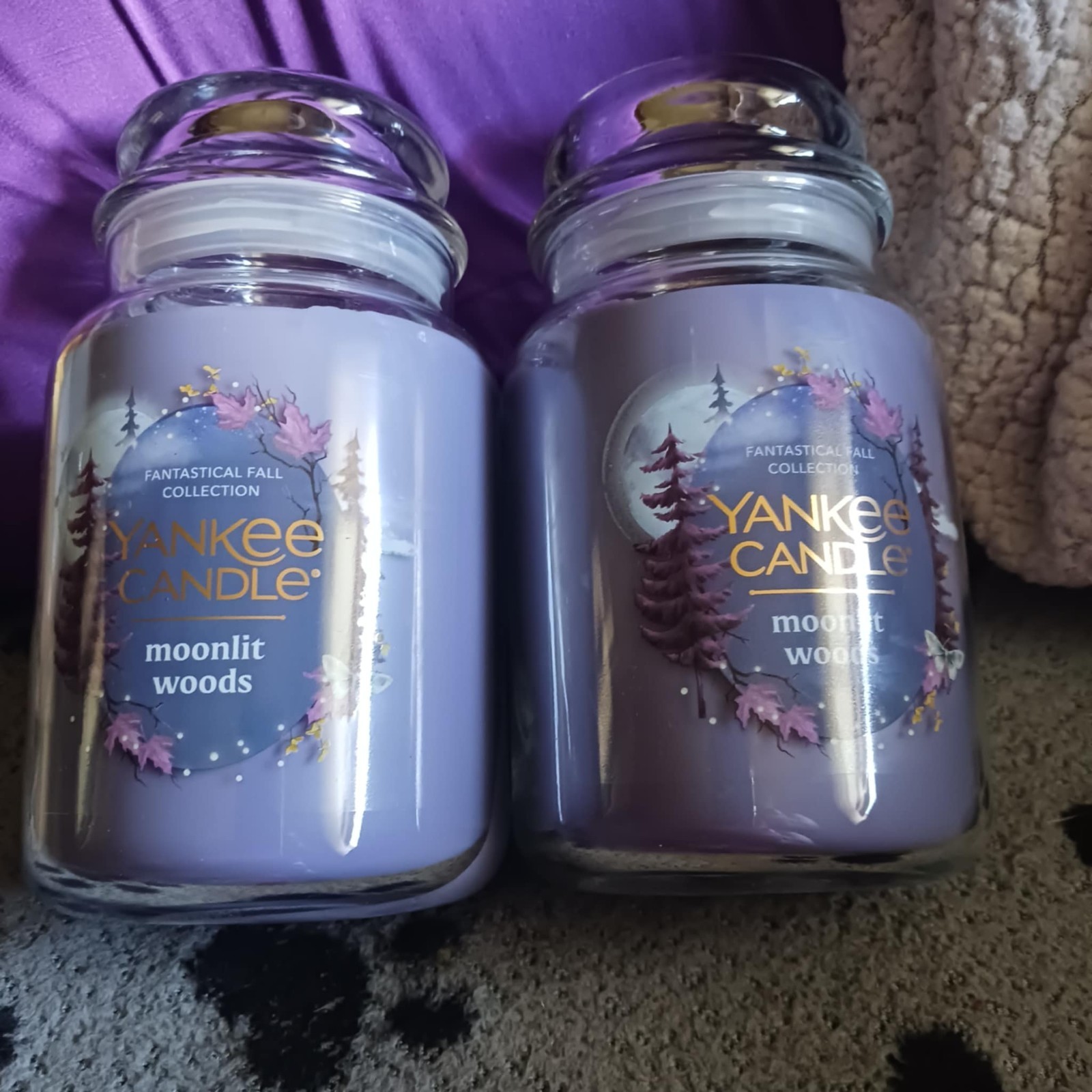 YANKEE CANDLE Moonlit Woods Large Jar Candles 22oz Fantastic Fall 2 Jars New