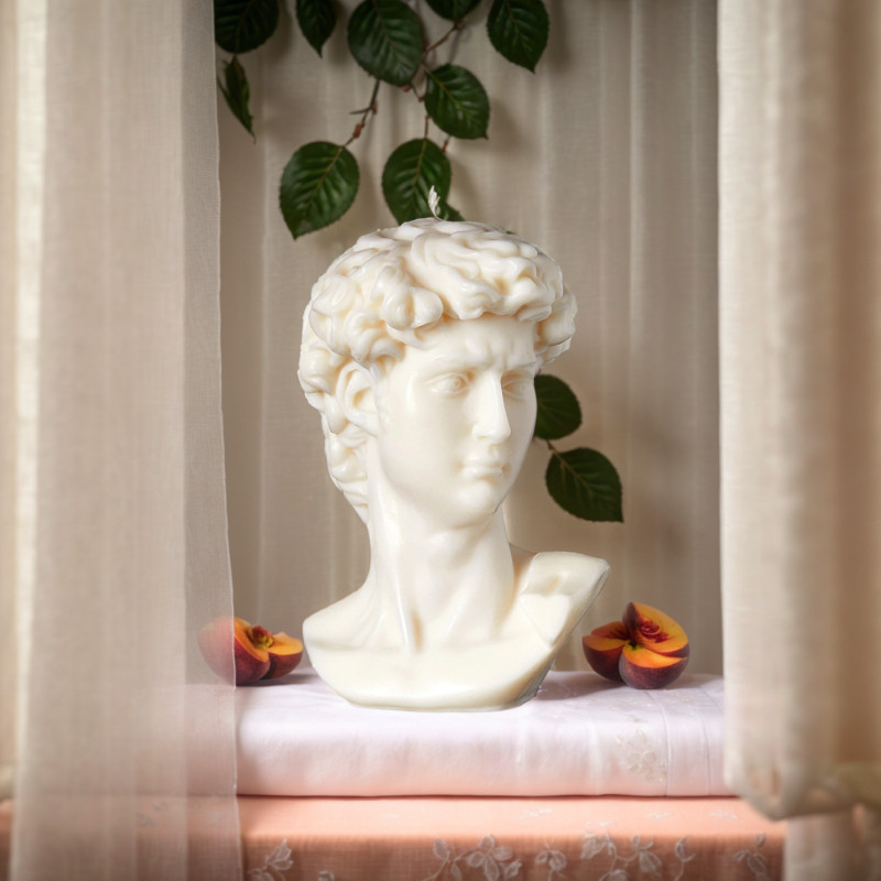Ventray Scented Candle Davidgypsum Portrait For Home Bedroom Living Room Decor
