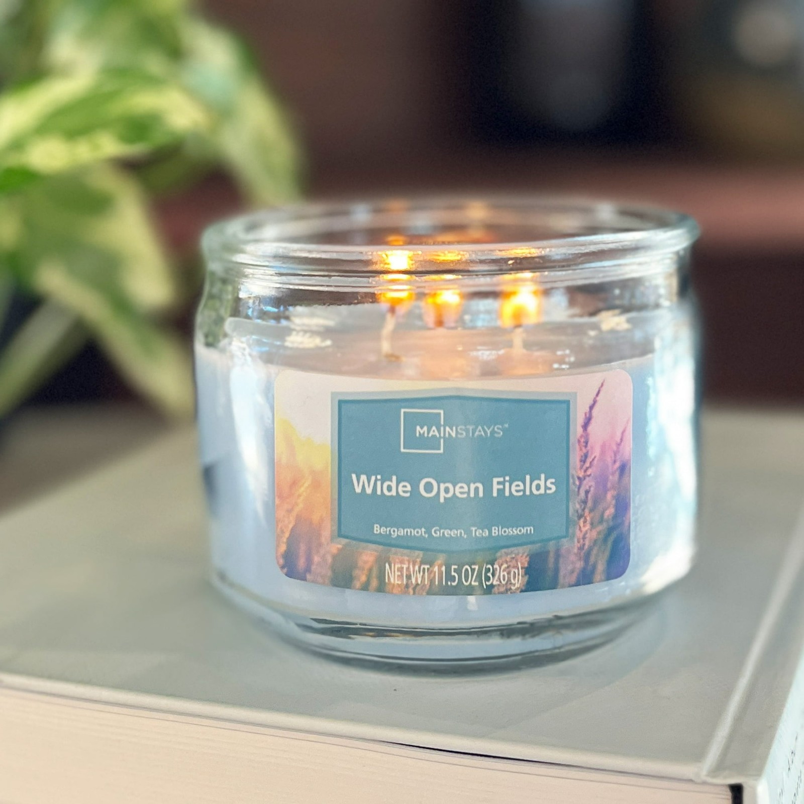 3 Pack Wide Open Fields Scented 3-Wick Candles,11.5oz FREE & FAST SHIP IN 2 DAYS