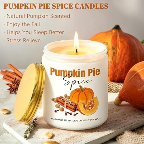 Pumpkin Cinnamon Spice Jar Candle Fall Scented Soy Wax 50 Hour Home Decor Gift