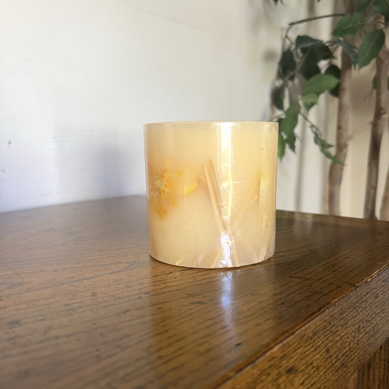 Pier 1 Imports Ginger Melon Candle Textured Pillar 3.5″ x 3.5″ New Sealed Rare