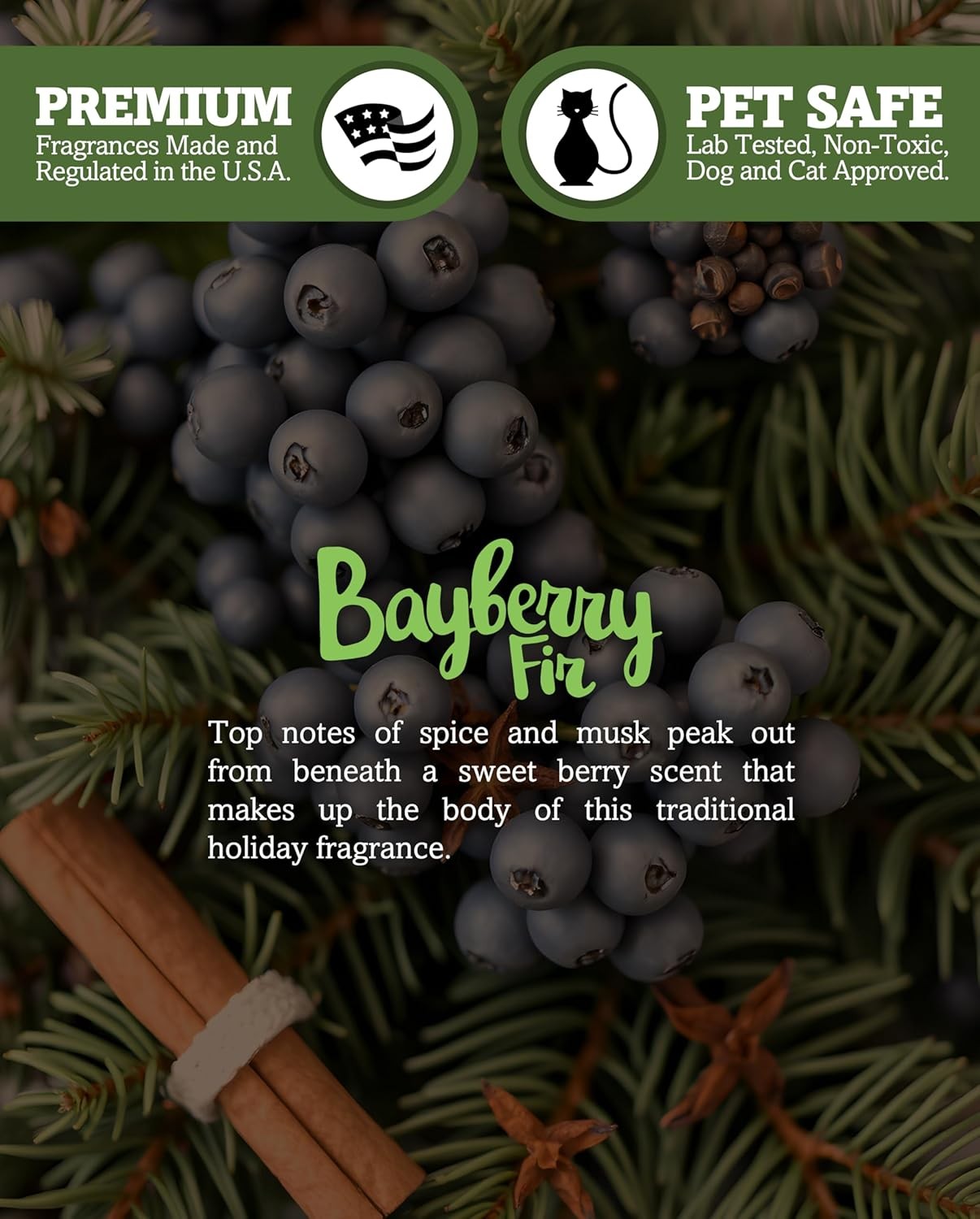 Bayberry Fir Premium Tealight Candles – Highly Scented with Essential Oils – 6